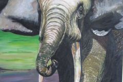 big_ELEPHANT