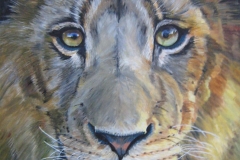 big_le_20lion